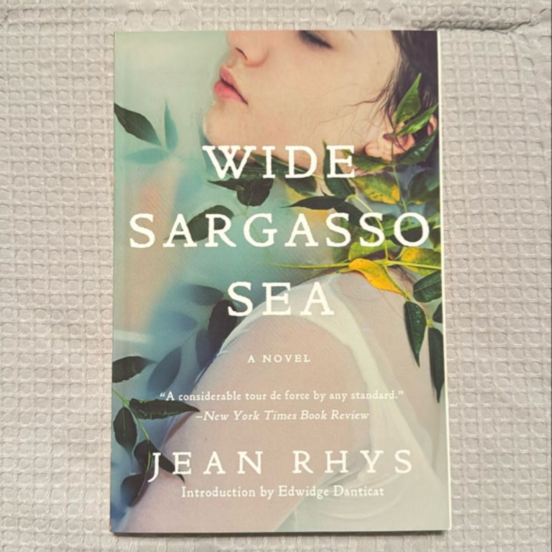 Wide Sargasso Sea