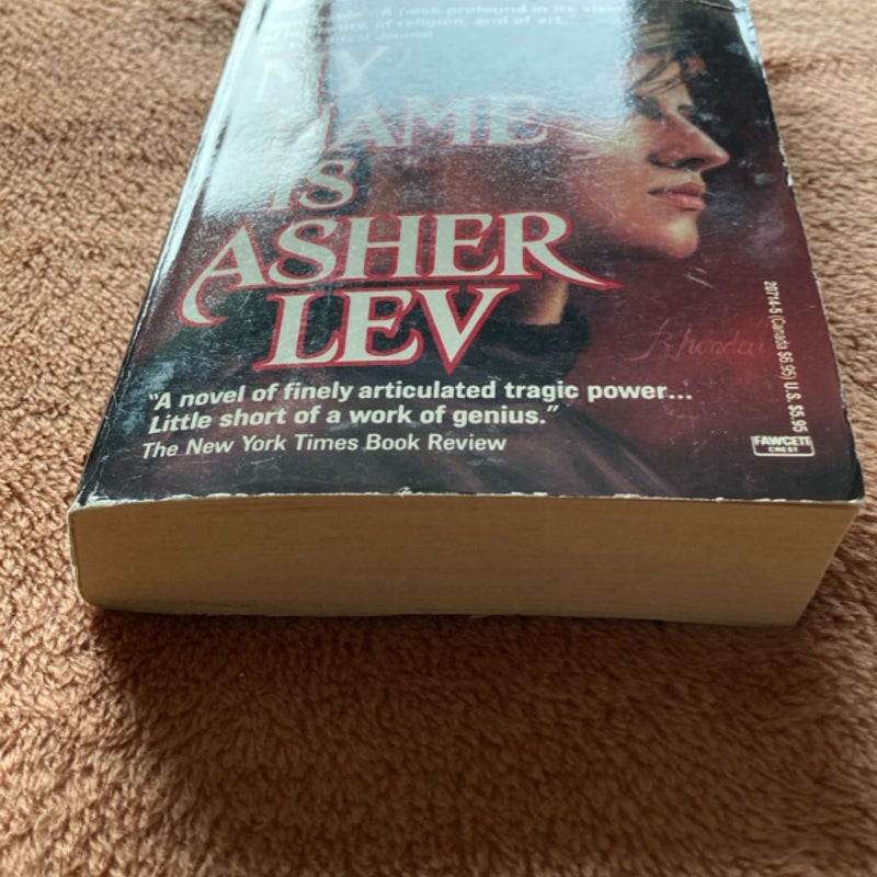 My Name Is Asher Lev