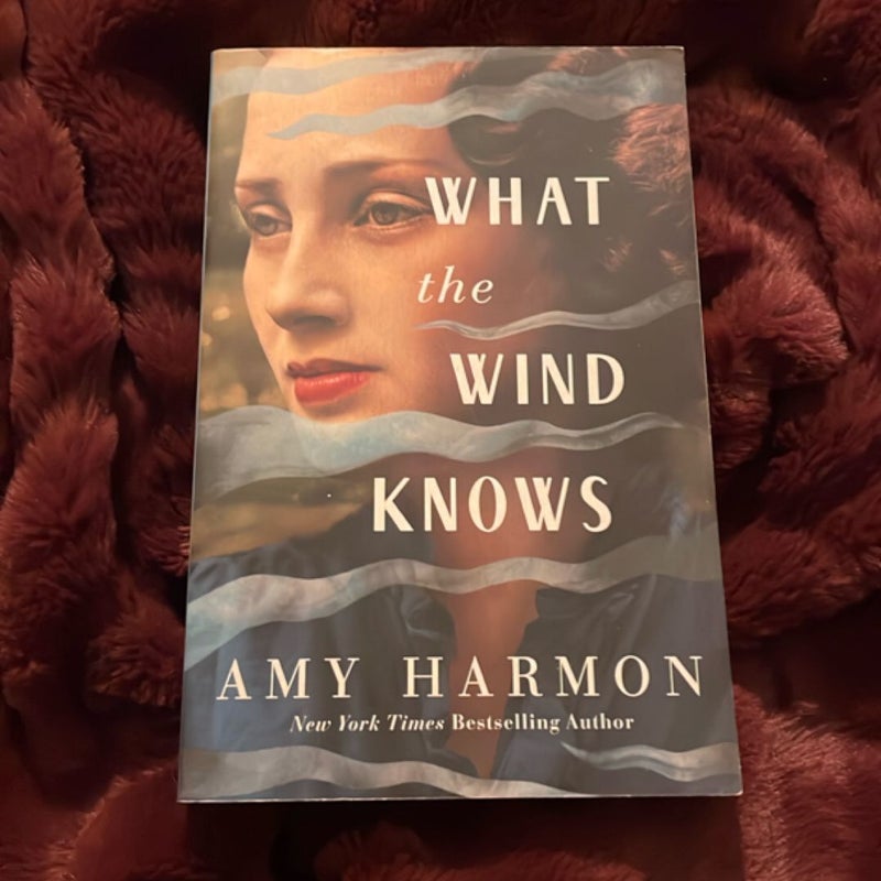 What the Wind Knows