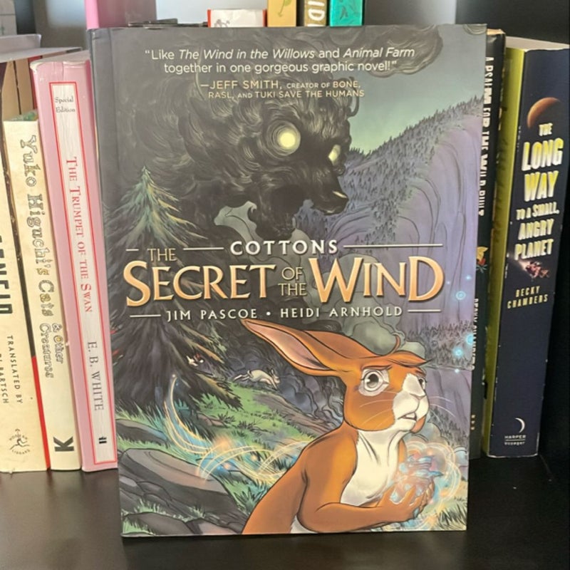 Cottons: the Secret of the Wind