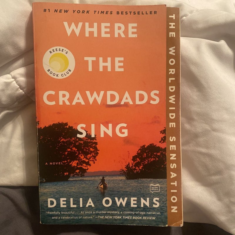 Where the Crawdads Sing