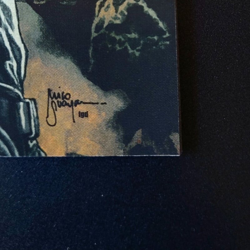 Punisher #1