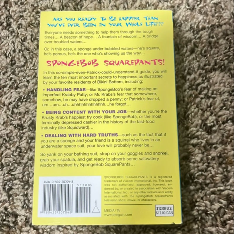 Absorbing Sponge Bob