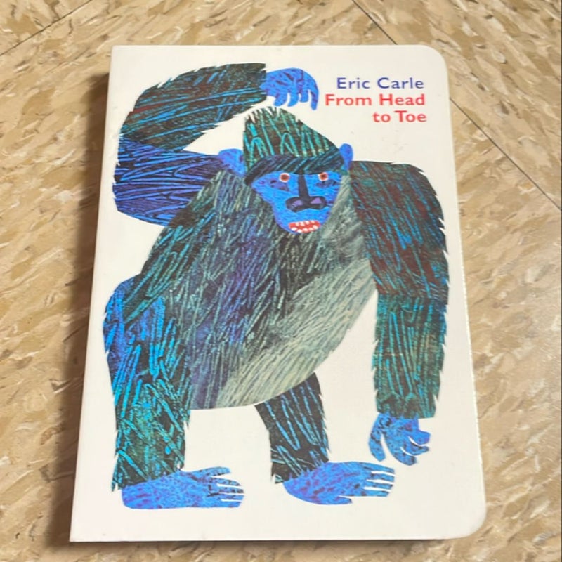 From Head to Toe Board Book