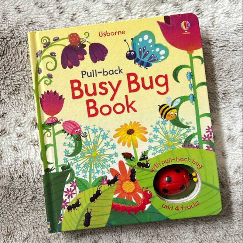 Busy Bug Book