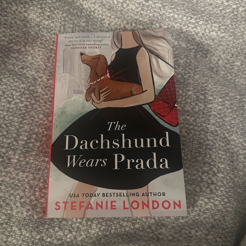 The Dachshund Wears Prada