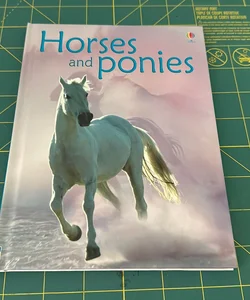 Horses and Ponies