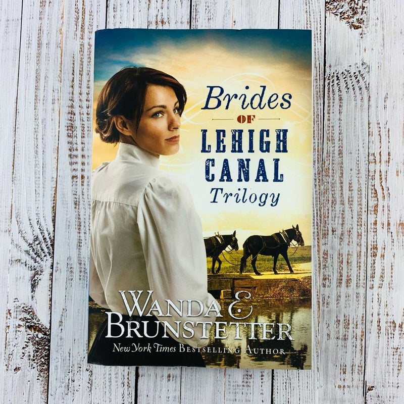 Brides of Lehigh Canal Trilogy