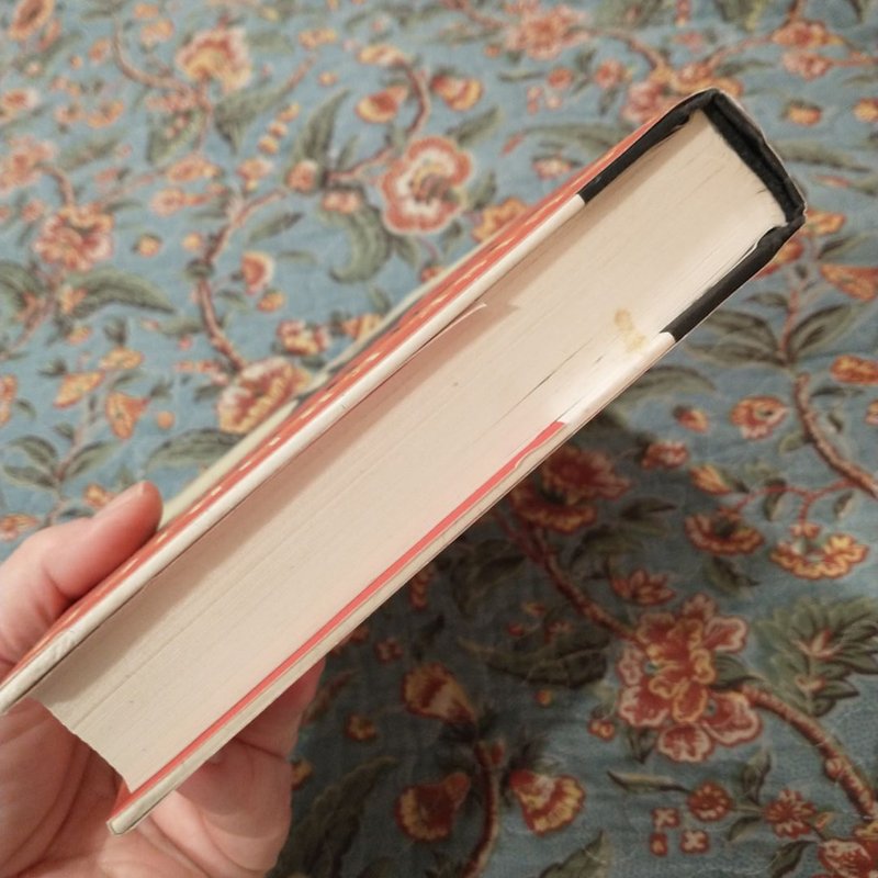 The Last Report on the Miracles at Little No Horse