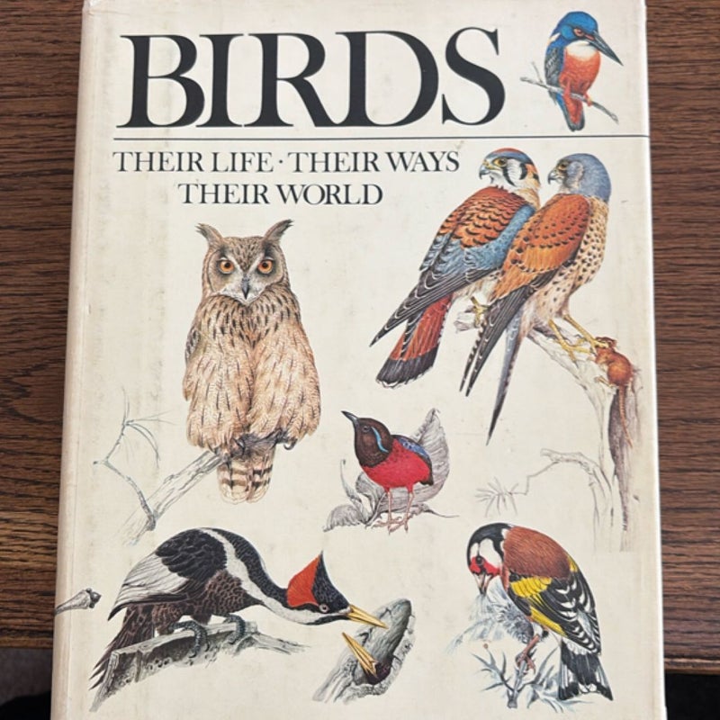 Birds