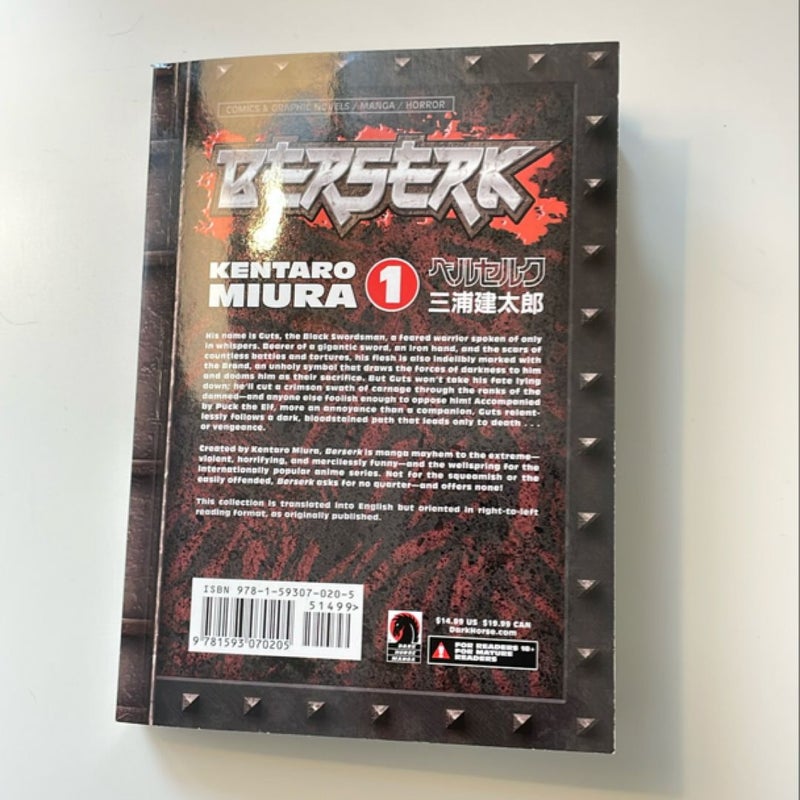 Berserk Volume 1