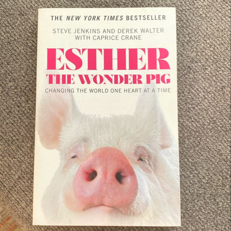 Esther the Wonder Pig