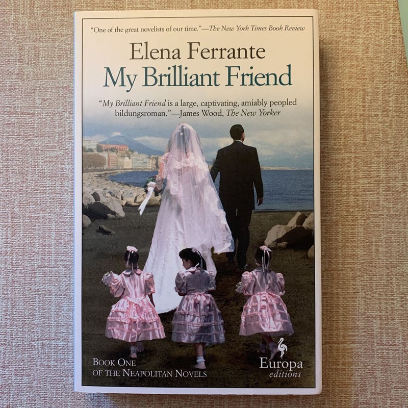 Neopolitian Novels #1, 2 & 4 (My Brilliant Friend, the Story of a New Name, the Story of a Lost Child) 