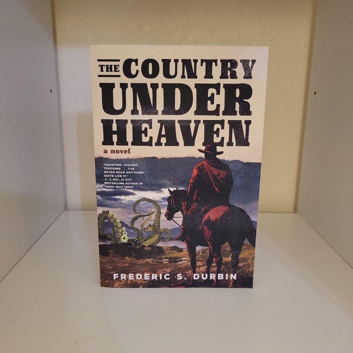 The Country under Heaven by Frederic S. Durbin