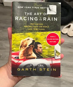 The Art of Racing in the Rain Tie-In