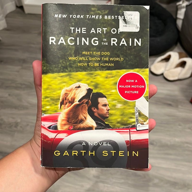 The Art of Racing in the Rain Tie-In