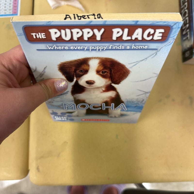 Mocha: Puppy Place