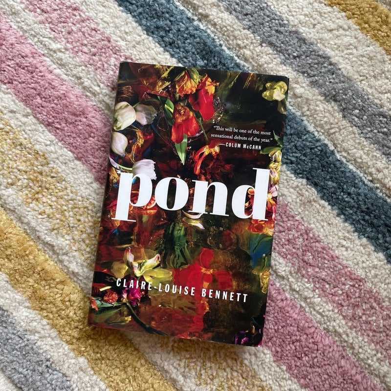Pond