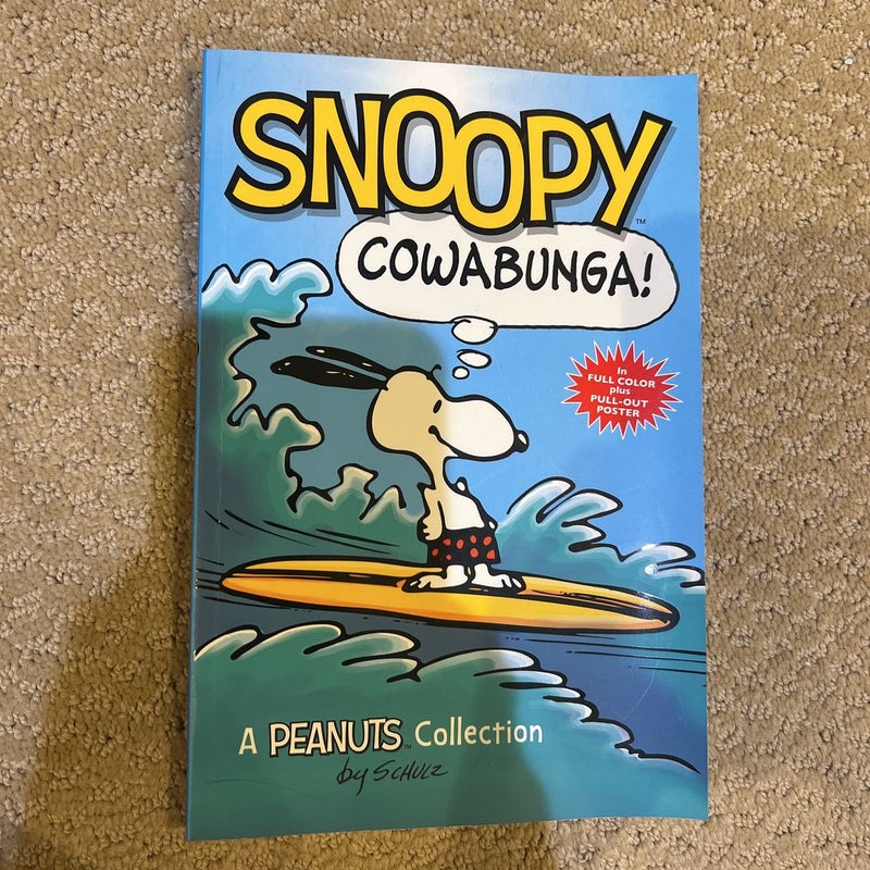 Snoopy: Cowabunga!
