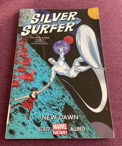 Silver Surfer Volume 1