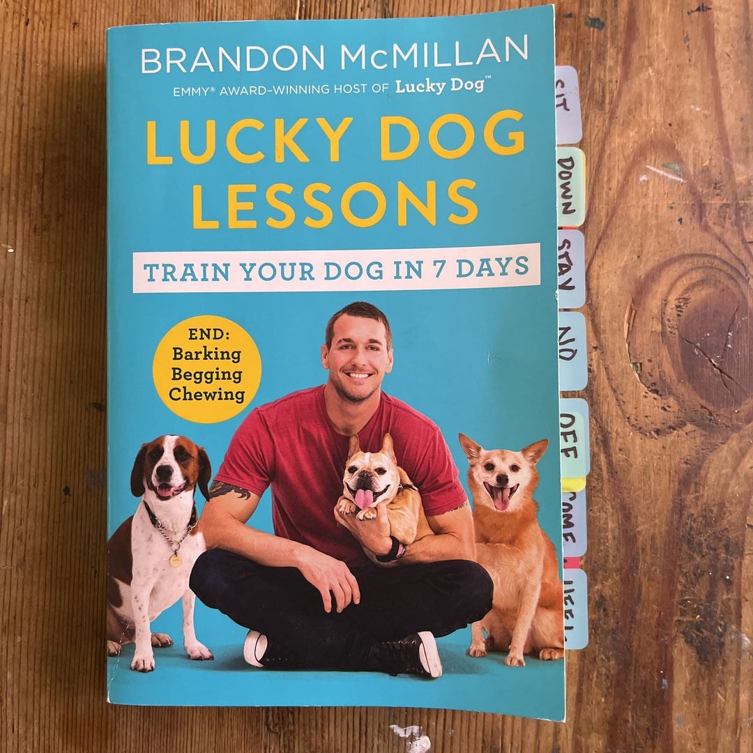 Lucky Dog Lessons By Brandon McMillan, Paperback Pangobooks, 56% OFF