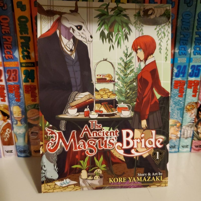 The Ancient Magus' Bride Vol. 1