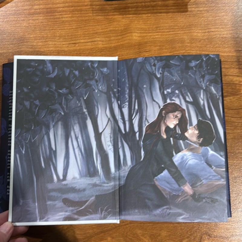 To Kill a Shadow (OwlCrate)