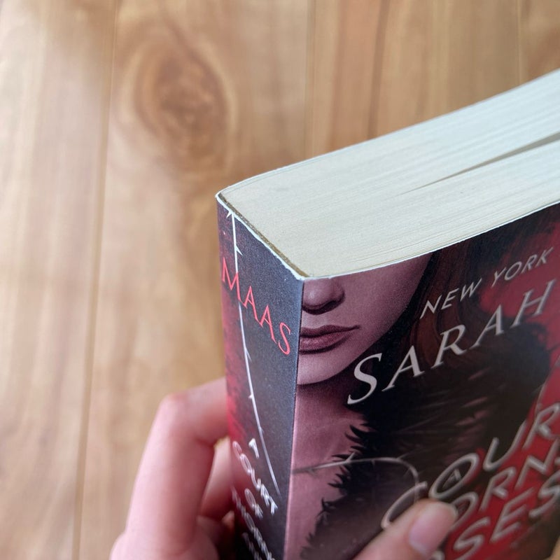 A Court of Thorns and Roses Original Cover