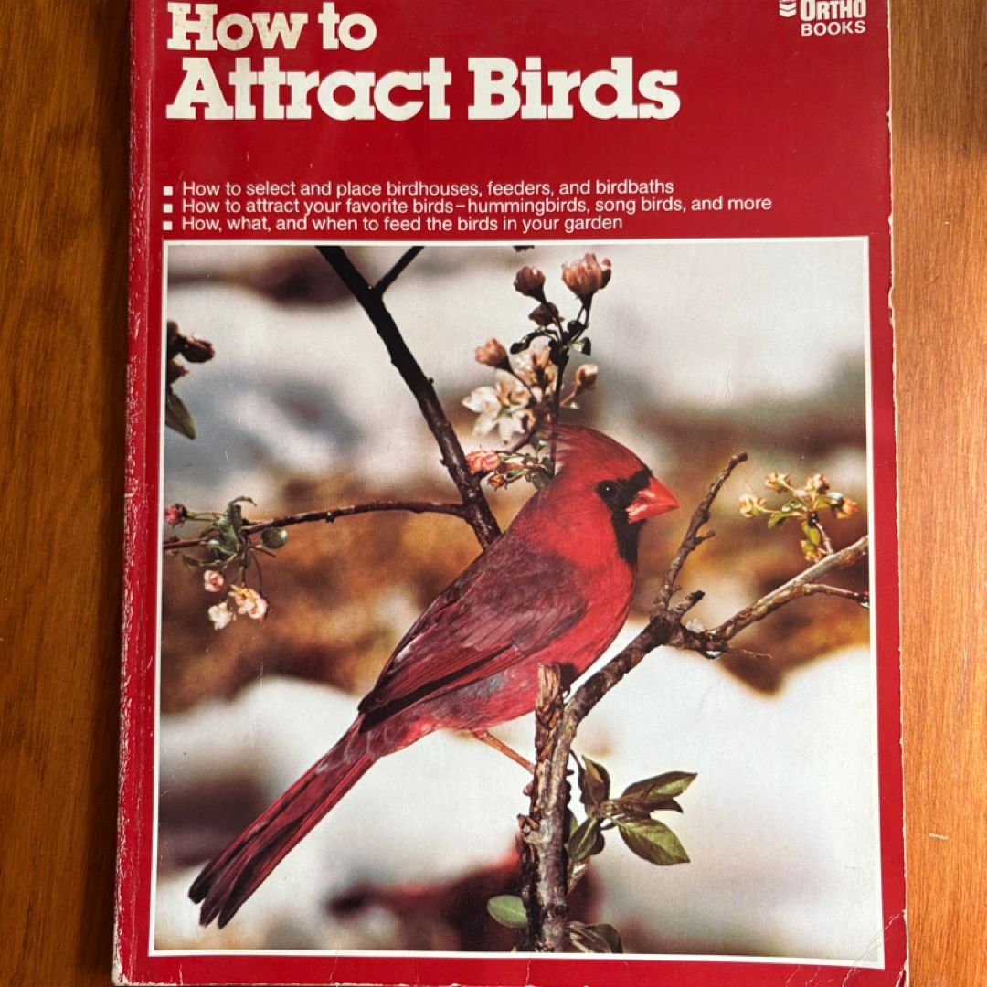 How to Attract Birds