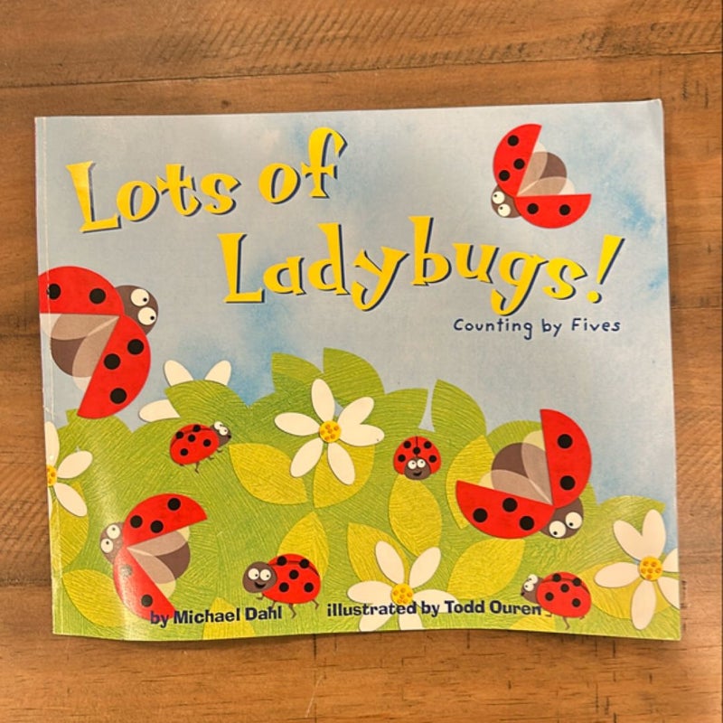 Lots of Ladybugs!