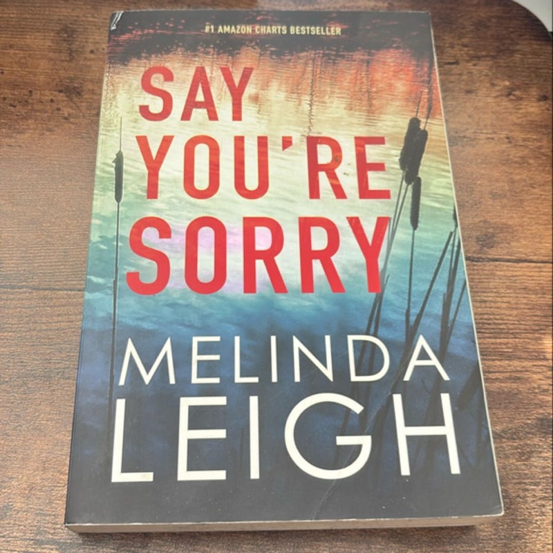 Say You're Sorry