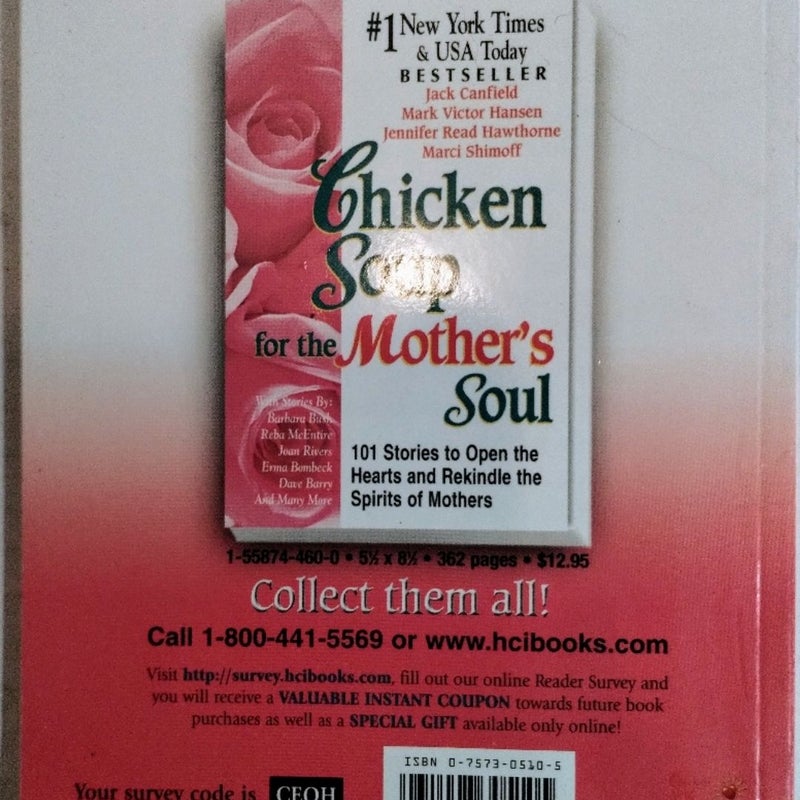 A Taste Of Chicken Soup for the Mother's Soul to