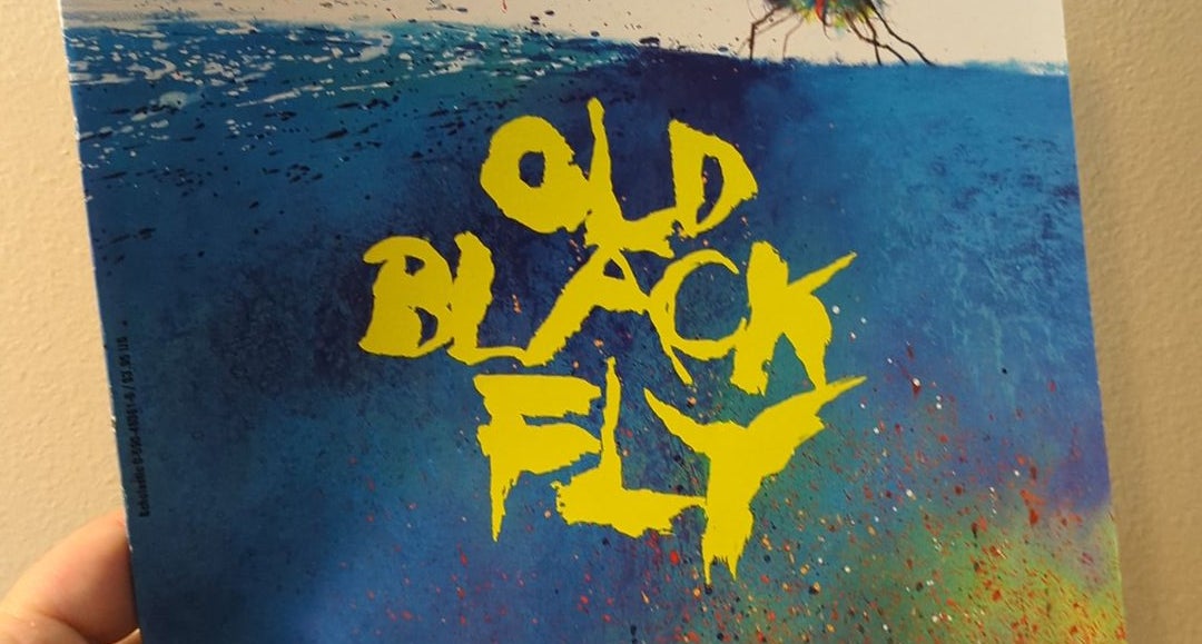 Old Black Fly by Jim Aylesworth, Paperback