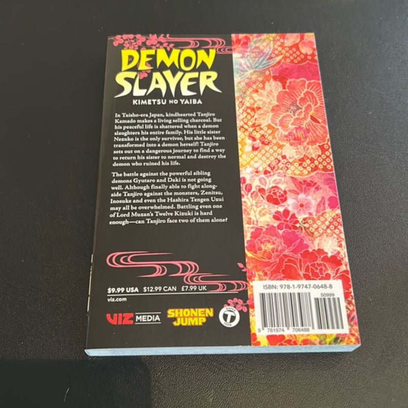 Demon Slayer: Kimetsu No Yaiba, Vol. 11