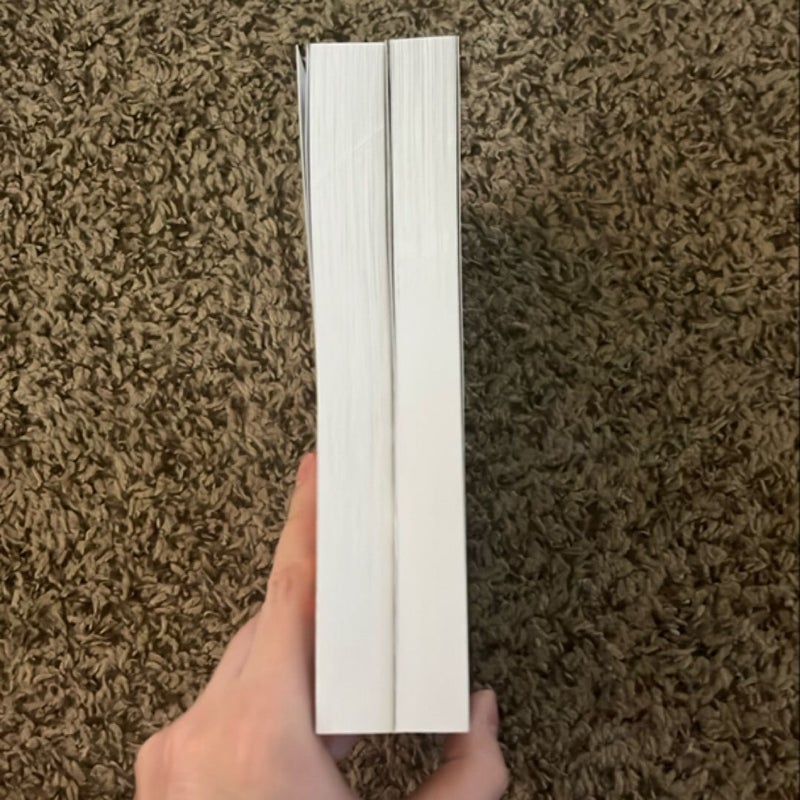 The Midnight Bookshelf Lily White