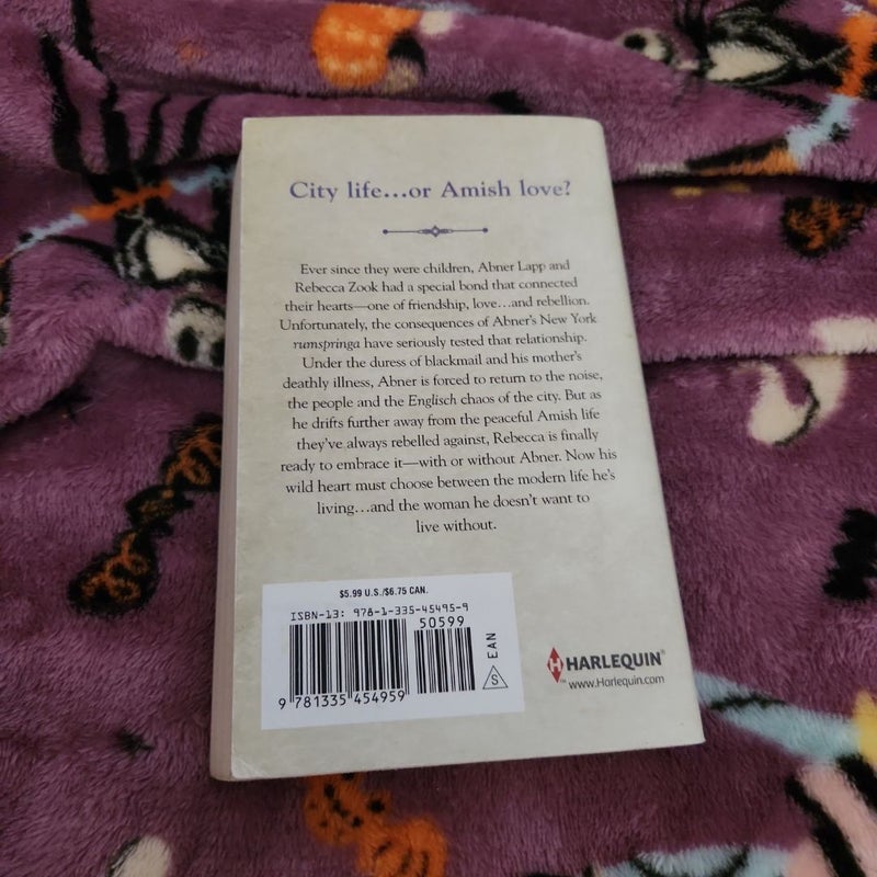 Big City Amish
