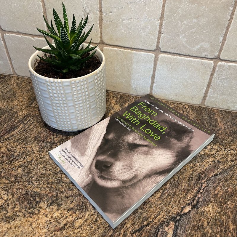 From Baghdad, with Love