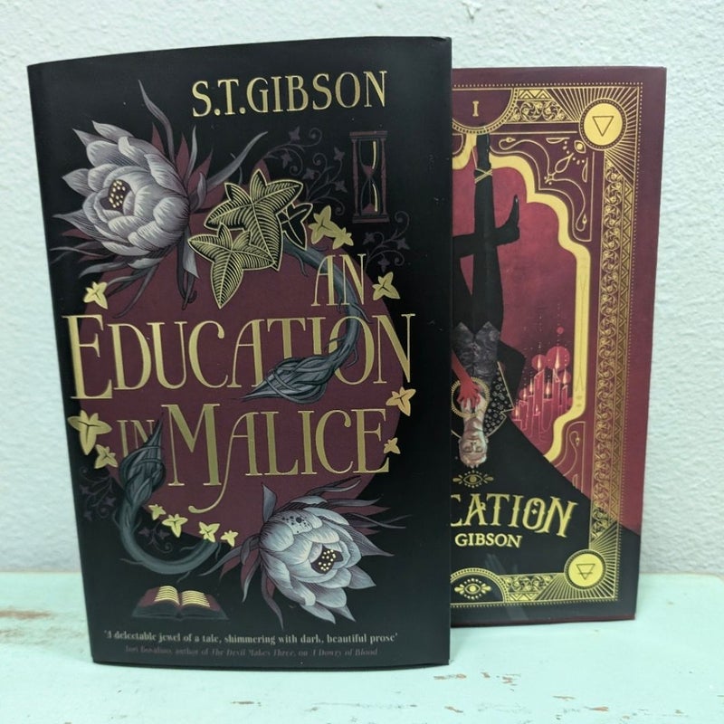 An Education in Malice & Evocation Fairyloot bundle