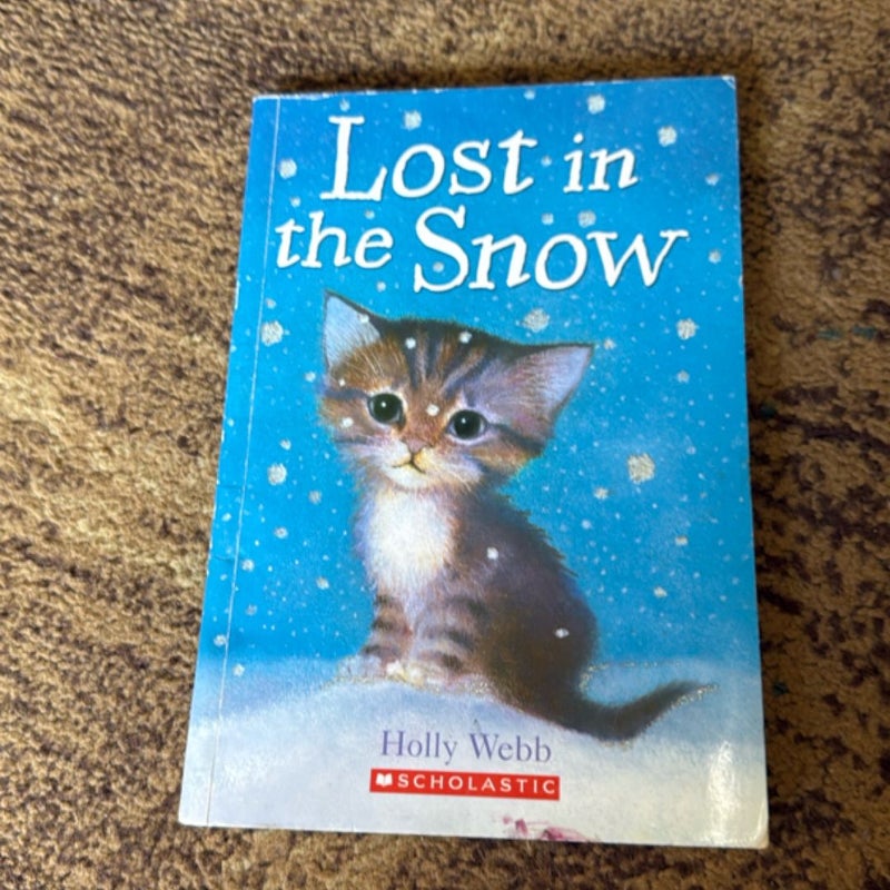 Lost in the Snow