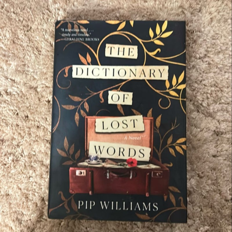 The Dictionary of Lost Words