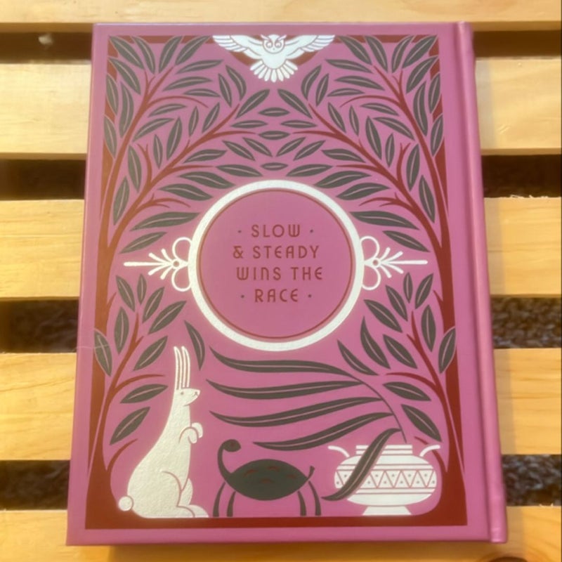 Aesop's Fables (Barnes and Noble Collectible Classics: Children's Edition)