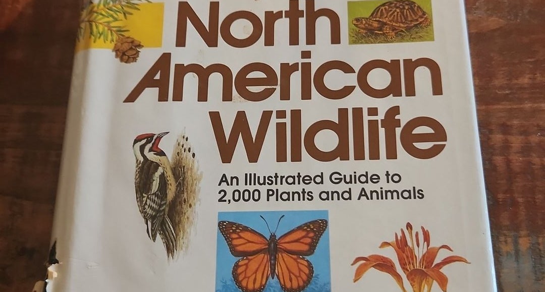 North American Wildlife by Reader's Digest Editors, Hardcover