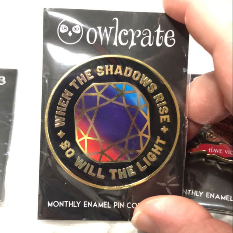 Owlcrate 3 piece pin set