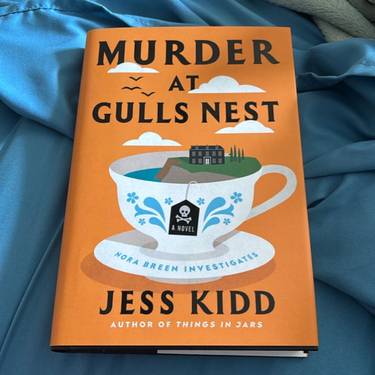 Murder at Gulls Nest by Jess Kidd