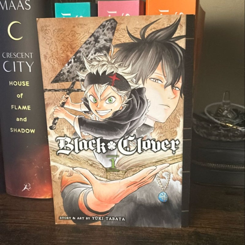 Black Clover, Vol. 1