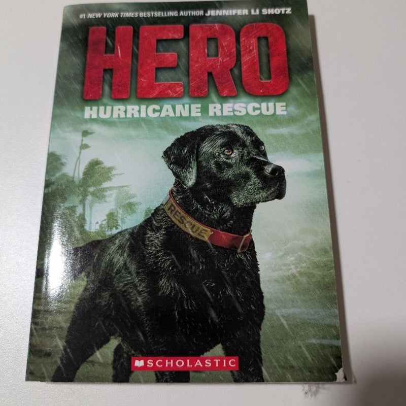 Hero Hurricane Rescue 