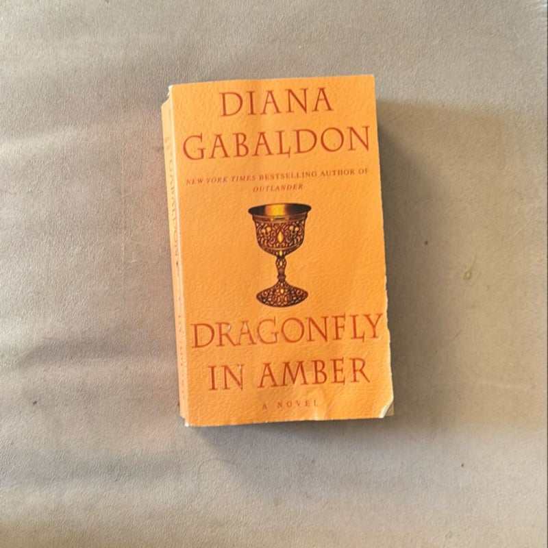 Dragonfly in Amber