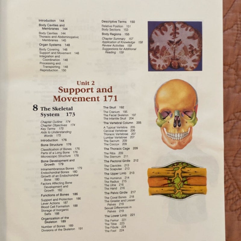Human Anatomy and Physiology