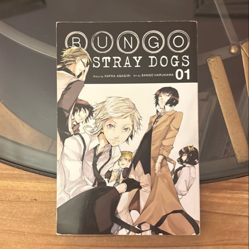 Bungo Stray Dogs, Vol. 1