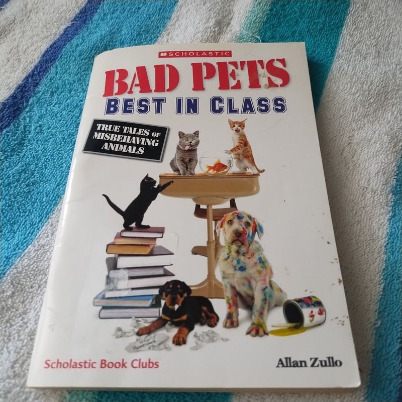 Bad Pets Best In Class